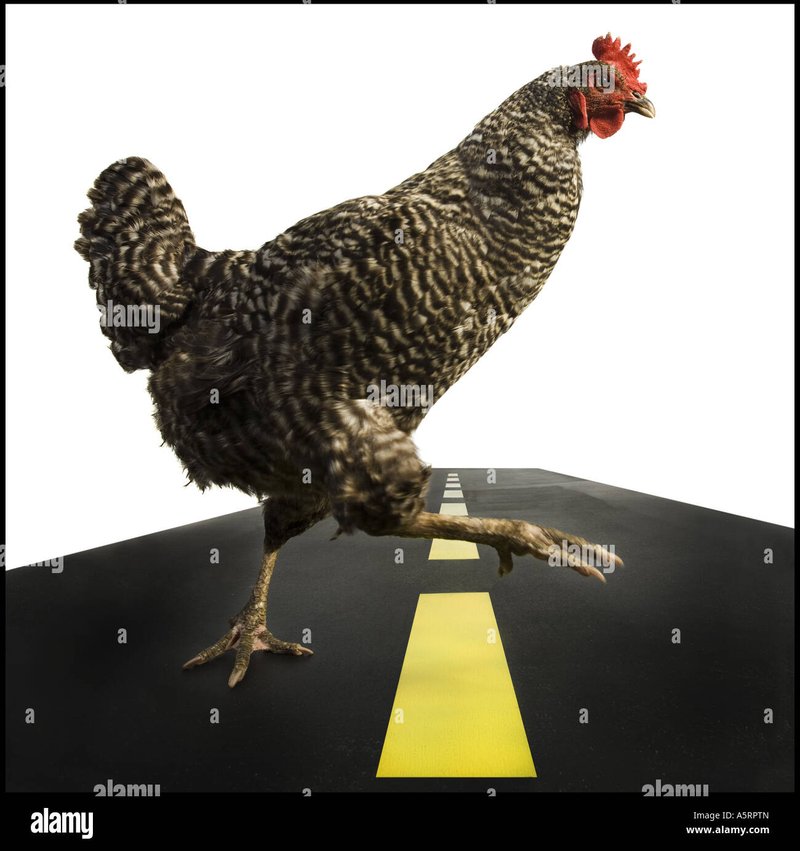 Discover jugar chicken road