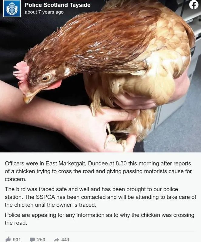 Descubre el Misterioso Juego de la Carretera de Pollo en España, chicken road online Descubre el Misterioso Juego de la Carretera de Pollo en España, chicken road online